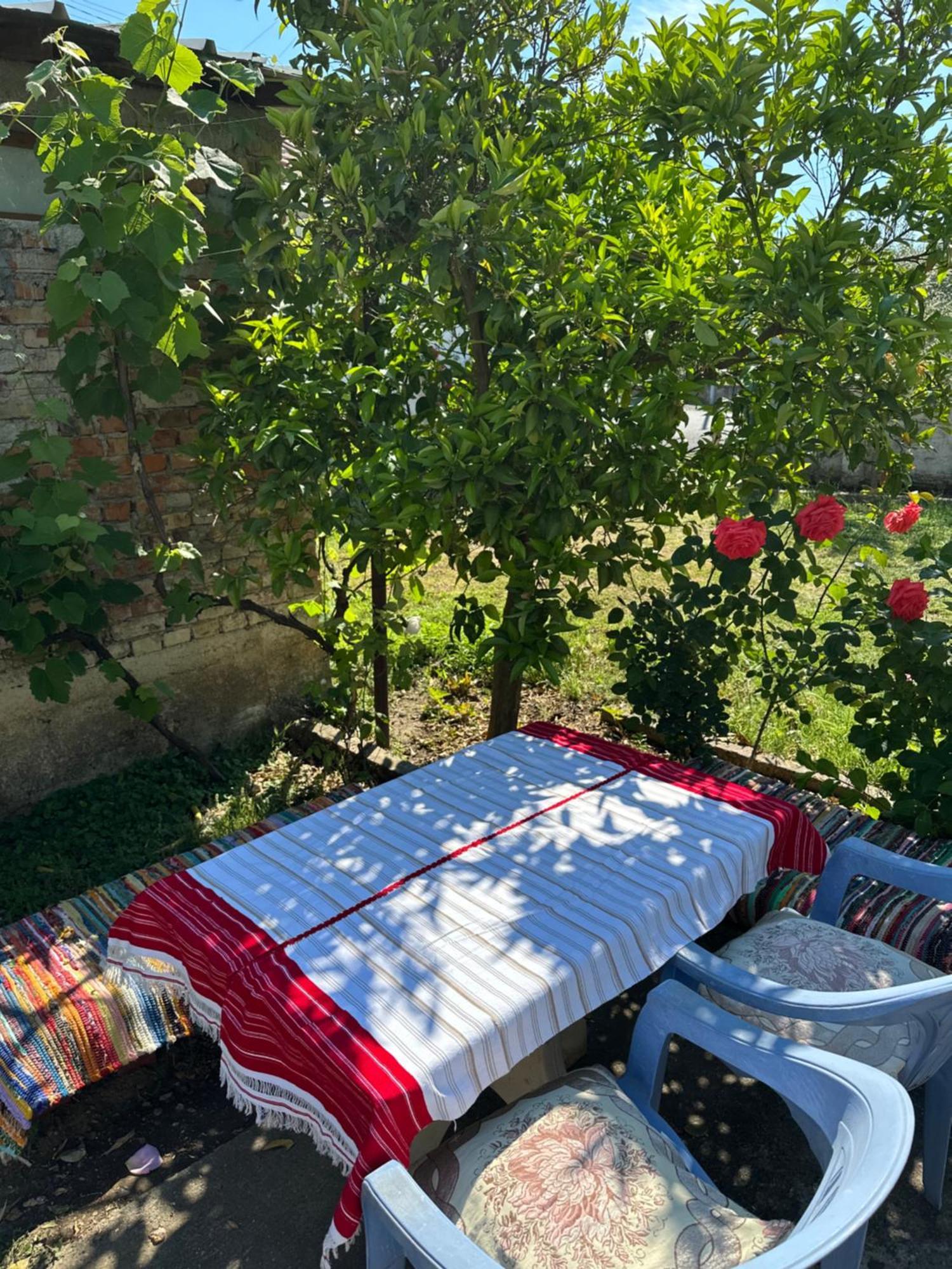 Villa Zefi Rrenc Papaj Екстер'єр фото